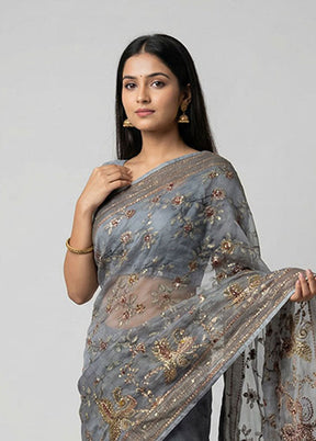 Grey Tussar Silk Saree With Blouse Piece