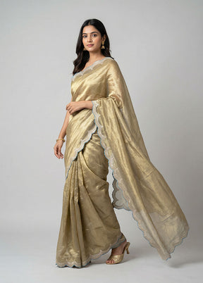 Blue Handloom Tissue Pure Silk Saree With Blouse Piece