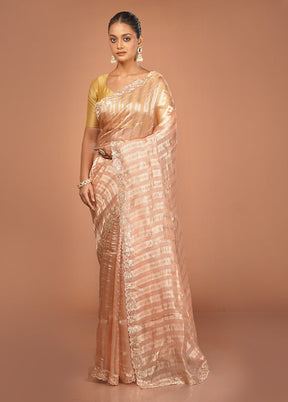 Pink Handloom Pure Organza Saree With Blouse Piece