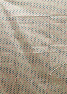 Cream Tussar Silk Saree With Blouse Piece