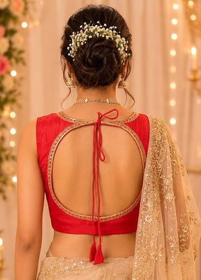 Red V Neck Designer Blouse