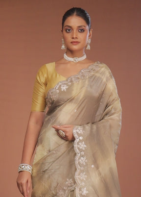 Grey Tissue Silk Saree With Blouse Piece